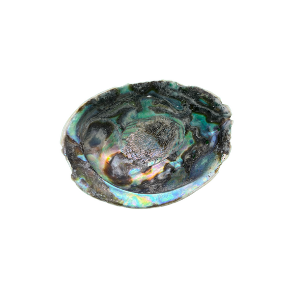 Abalone Shell - Smudge Stick Ash Tray