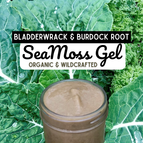 Bladderwrack & Burdock Root Sea Moss Gel, Organic- Wild Crafted