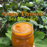 Ginger Turmeric Sea Moss Gel