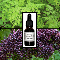 Elderberry Moringa Tincture- Organic- Texas Grown