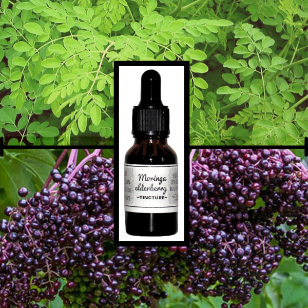 Elderberry Moringa Tincture- Organic- Texas Grown
