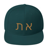 Aleph Tav Snapback Hat