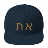 Aleph Tav Snapback Hat- Green