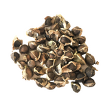 Organic Moringa Seeds- 40 Seeds